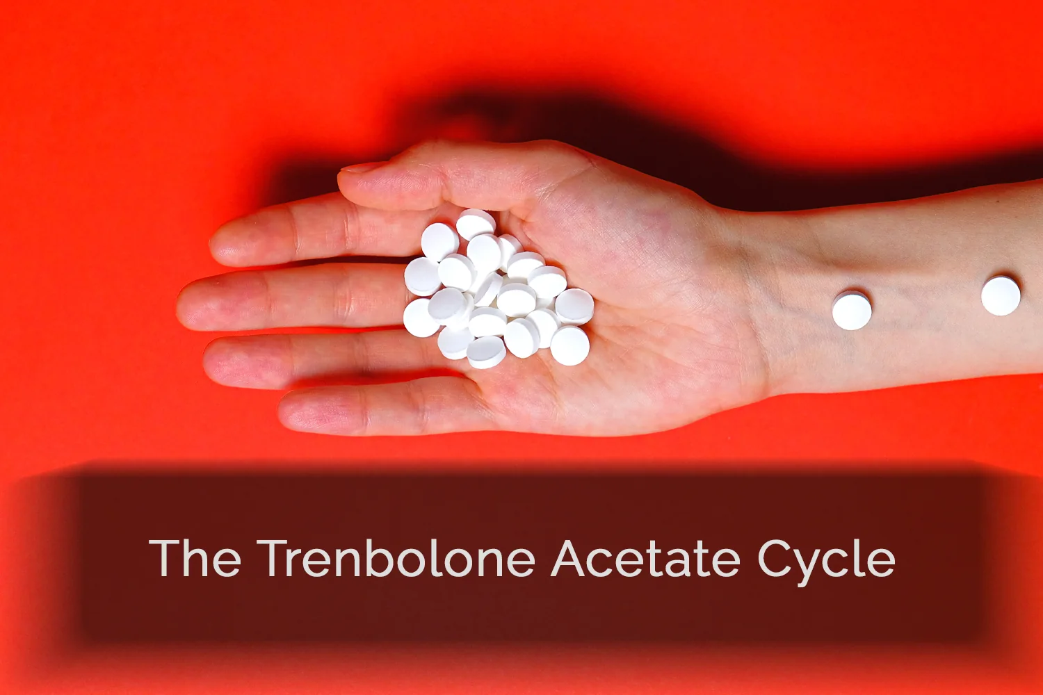 Trenbolone Acetate Cycle