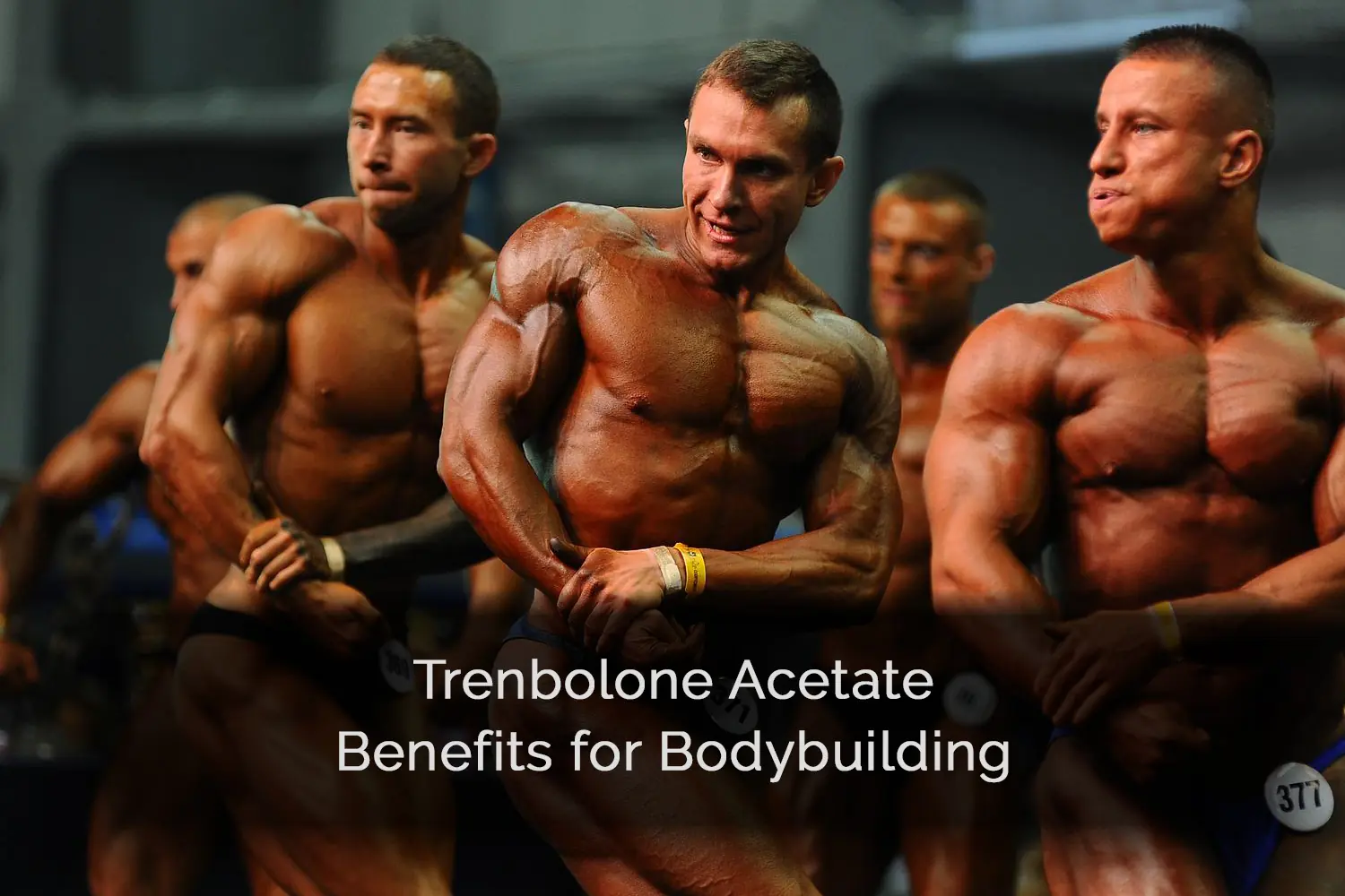 Trenbolone Acetate Bodybuilding Benefits