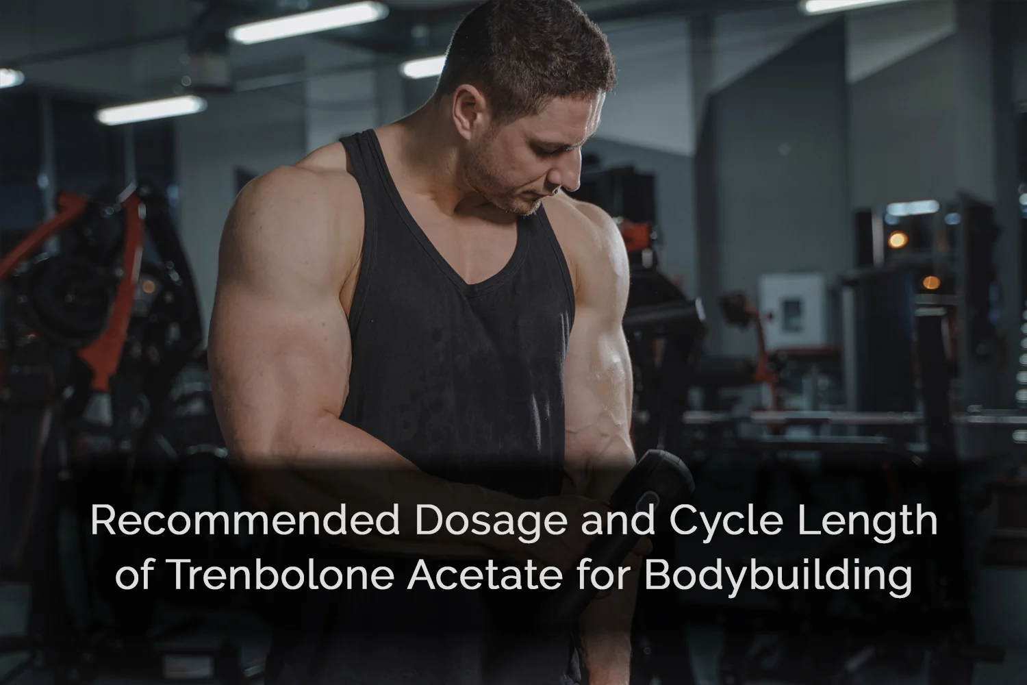 Trenbolone Acetate Dosage and Cycle